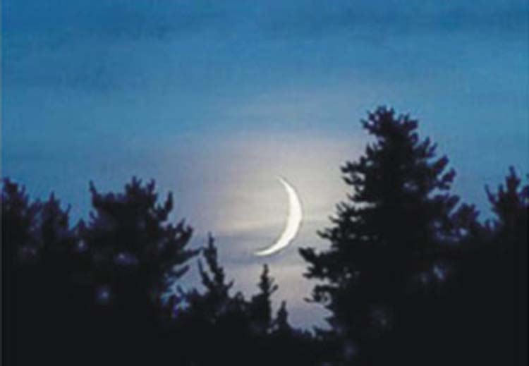 ঈদুল আজহা ১০ জুলাই