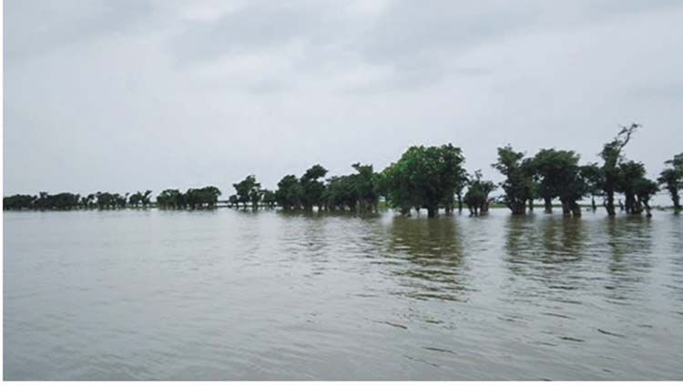 বন্যা পরিস্থিতি অবনতির শঙ্কা