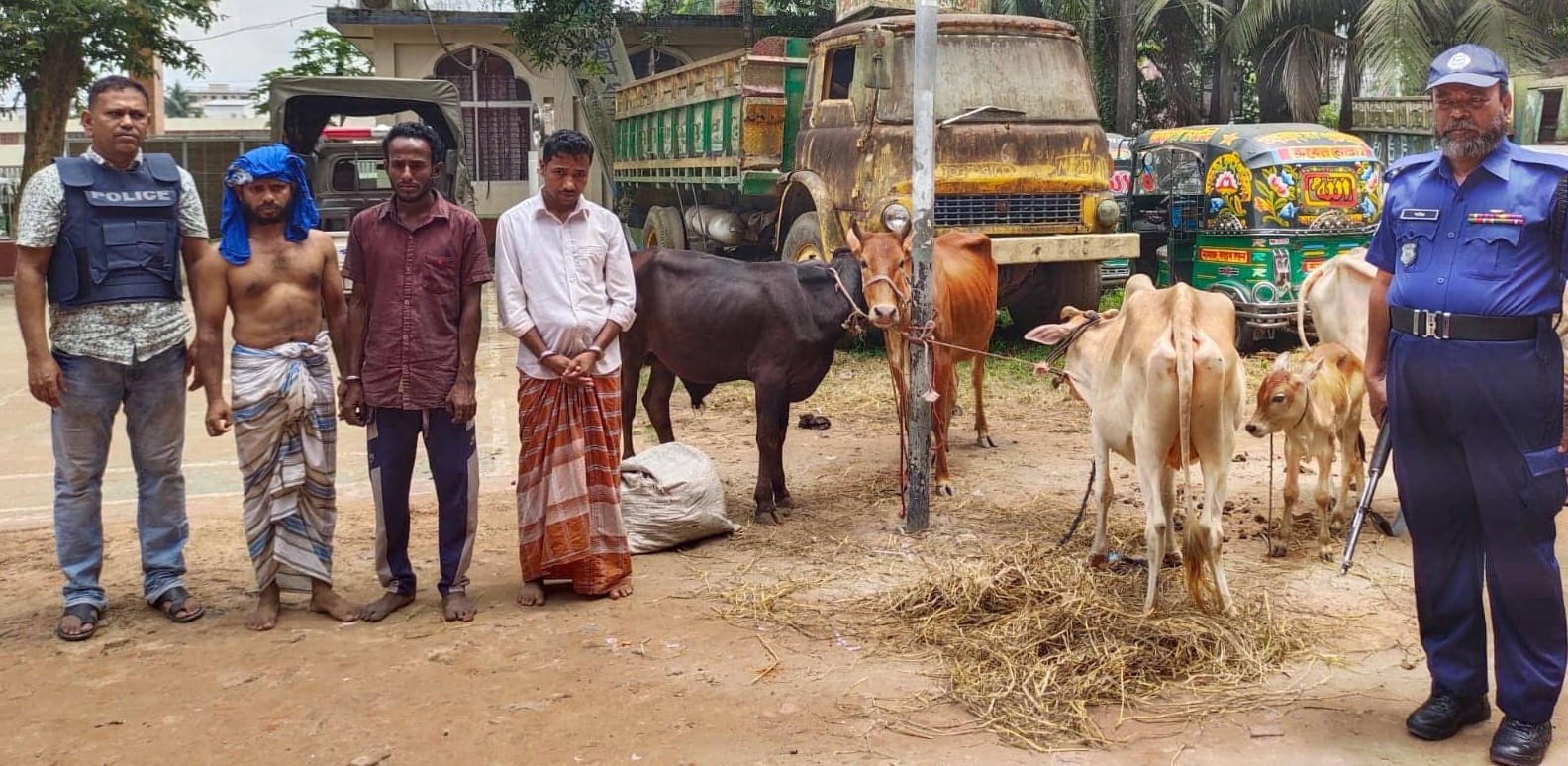 দেবীদ্বারে ৫ গরু সহ ৩ গরু চোর আটক