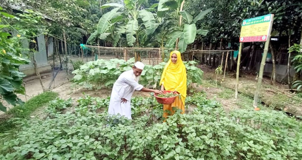 তিন সহস্রাধিক পরিবারে বিনামূল্যে পুষ্টি যোগান