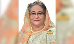 শেখ ফজিলাতুন নেছা আমার মা