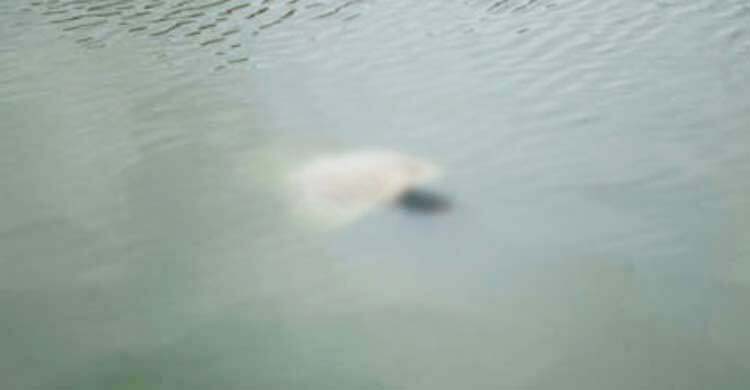 কুমিল্লায় পানিতে ডুবে ১০ দিনে ১০ শিশুর মৃত্যু