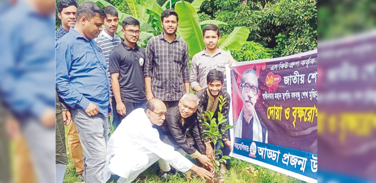 বরুড়ায় জাতীয় শোক দিবস উপলক্ষে এস কিউ গ্রুপের মানবিক সহায়তা ও বৃক্ষ রোপন 