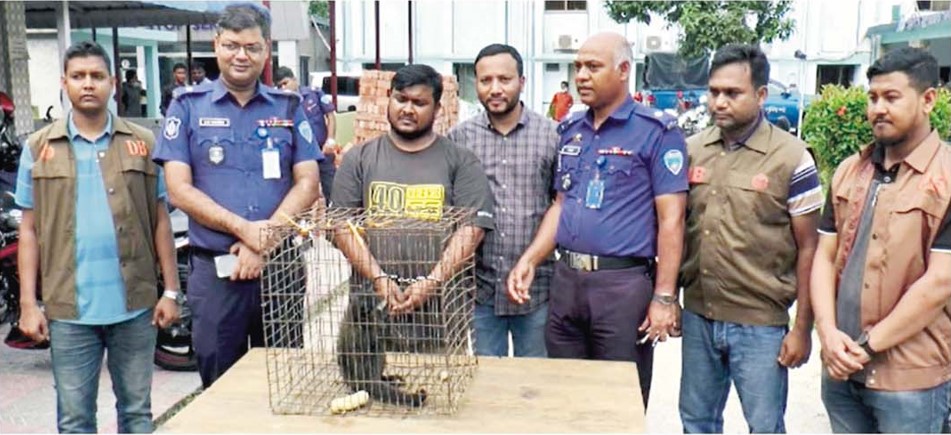 কুমিল্লায় বিপন্ন উল্লুক উদ্ধার পাচারকারী গ্রেফতার
