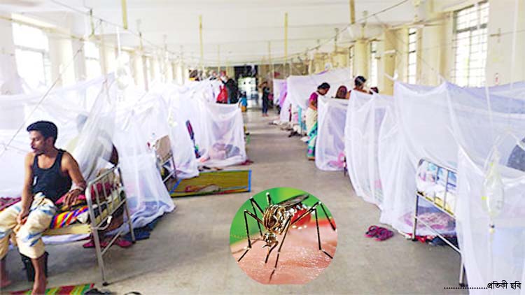 ডেঙ্গু: হাসপাতালে ভর্তি ৬৪৭ রোগী, একজনের মৃত্যু