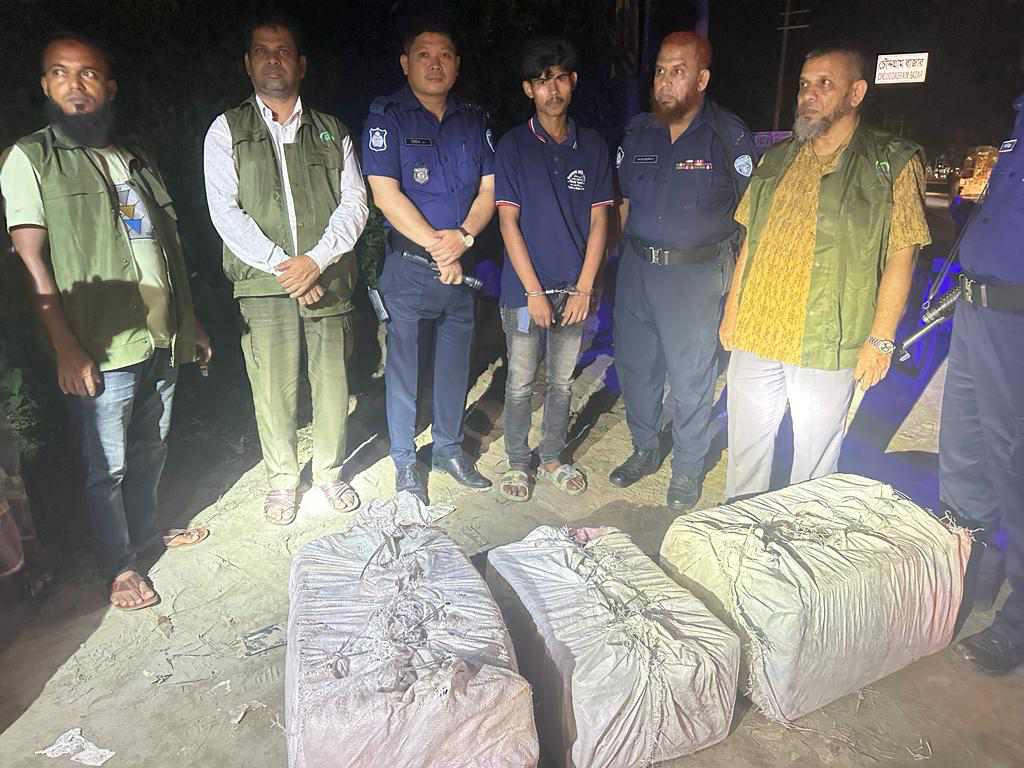 কুমিল্লায় উদ্ধার বিরল প্রজাতির ৪৫ কাছিম