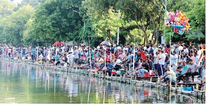 কুমিল্লা ধর্মসাগরে চলছে মাছ শিকারের উৎসব