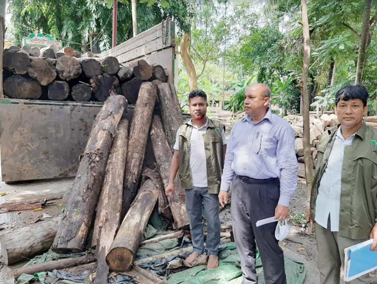 কুমিল্লায় ৫ লাখ টাকার কাঠ বোঝাই ট্রাক রেখে পালিয়েছে চালক-হেলপার