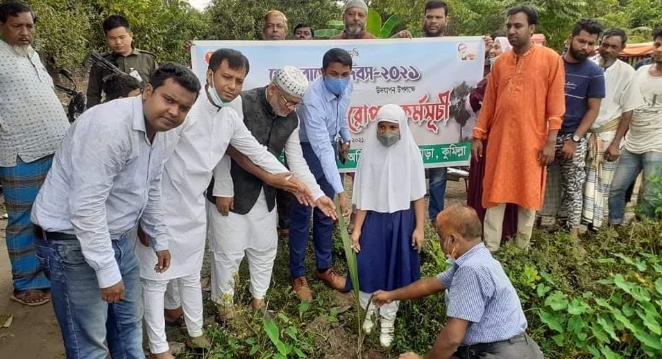 শেখ রাসেল দিবস উপলক্ষে ব্রাহ্মণপাড়ায় কৃষি সম্প্রসারন অধিদপ্তরের তালের চারা রোপন