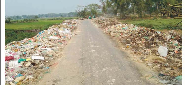 চান্দিনা পৌরসভা বর্জ অব্যবস্থাপনায় সড়ক জুড়ে ময়লার ভাগাড় চান্দিনা পৌরসভা বর্জ অব্যবস্থাপনায় সড়ক জুড়ে ময়লার ভাগাড়