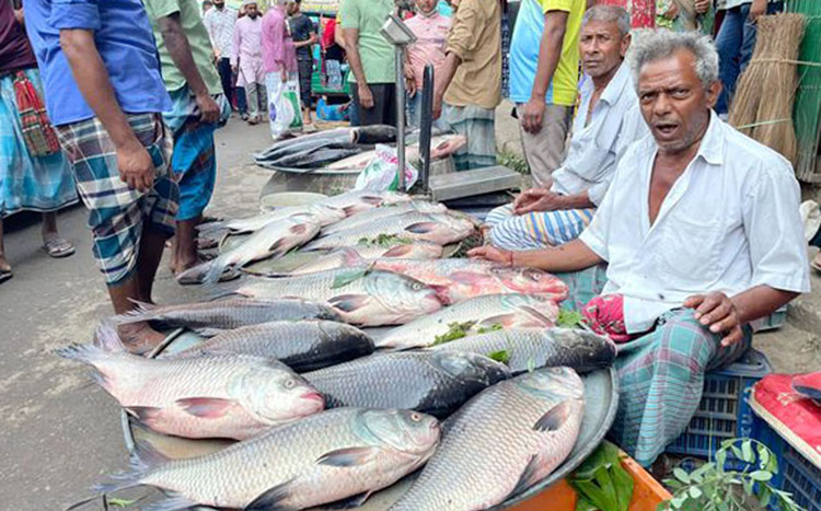 নববর্ষে মঙ্গল শোভাযাত্রায় প্রাণের উচ্ছ্বাস কুমিল্লায়