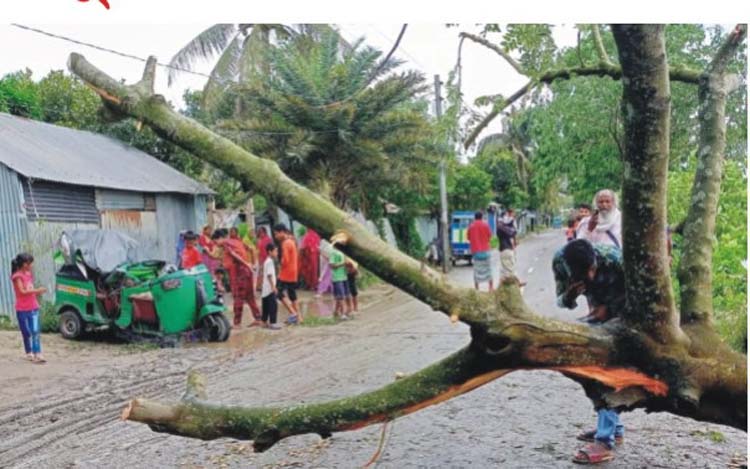 মুরাদনগরে কালবৈশাখীর ঝড়ে গাছচাপায় বৃদ্ধা নিহত, আহত ৫