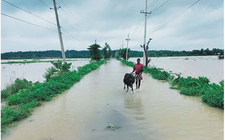 বাড়ছে সব নদ-নদীর পানি