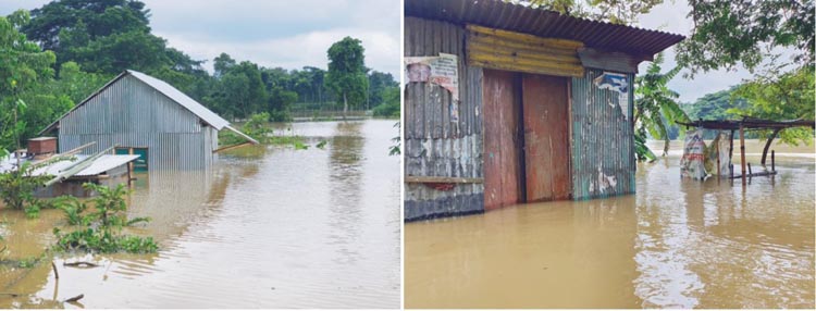 দেবিদ্বারে পানিবন্দি কয়েক শ’ পরিবার 