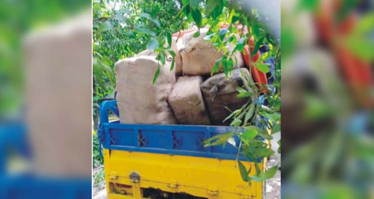 দেবিদ্বারে ৬ লাখ টাকার ভারতীয় চোরাই শাড়ি জব্দ, আটক ১