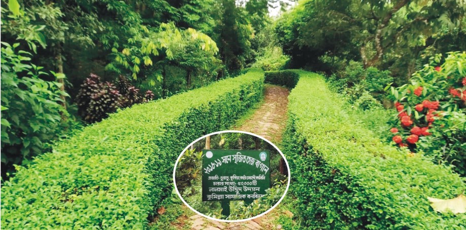 শত প্রজাতির প্রায় ৫ হাজার দুষ্প্রাপ্য উদ্ভিদের সংগ্রহশালা