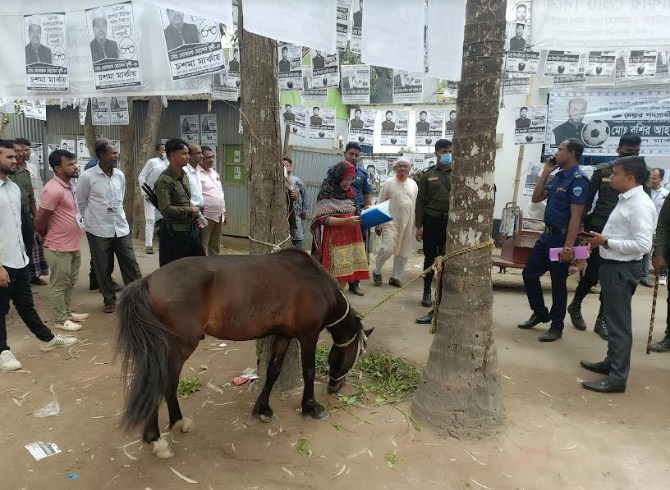 কুমিল্লায় ভোটের দিন কেন্দ্রের পাশ থেকে ঘোড়া জব্দ