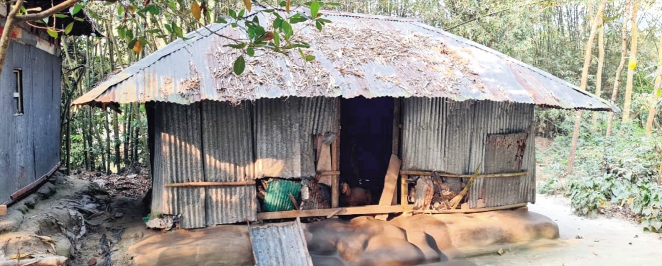  জরাজীর্ণ ঘরে ছাগলের সাথে  বসবাস ‘বসুর মার’