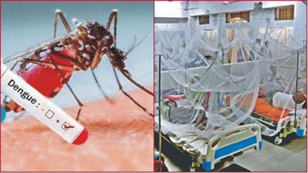 ডেঙ্গু নিয়ে সাবধানতা কুমিল্লায়