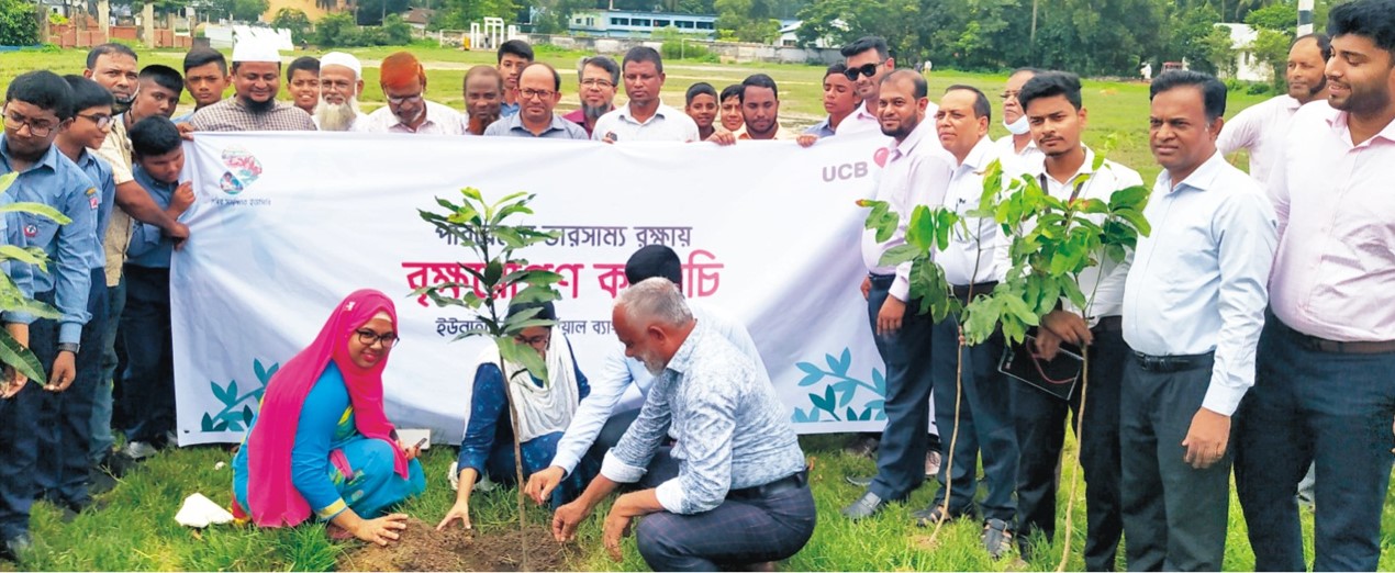 বুড়িচংয়ে পরিবেশের ভারসাম্য রক্ষায় ইউসিবিএলের (ব্যাংকের) বৃক্ষ রোপন কর্মসূচি পালন